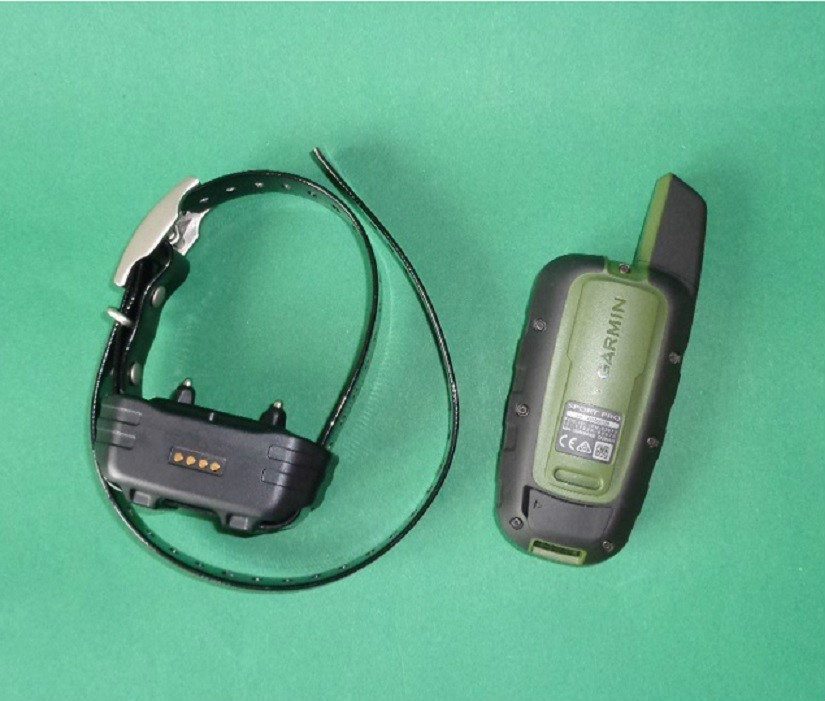 pologar > obroża elektroniczna Garmin Sport PRO zasięg do 1200 metrów